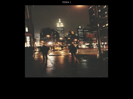 PAG_T1 screenshot
