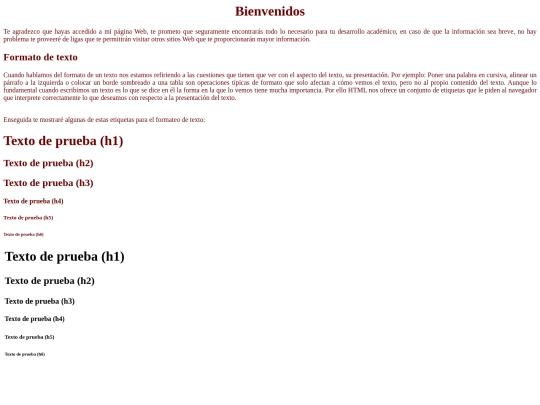 Pagina screenshot
