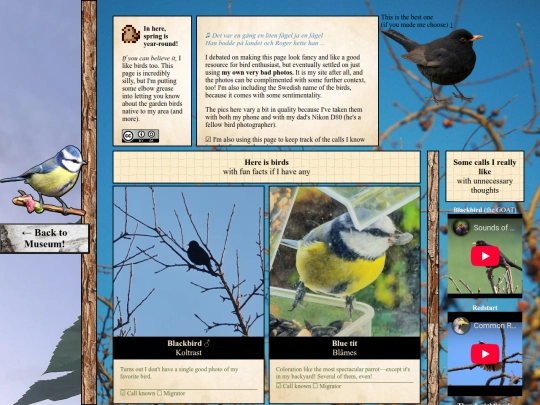 shelf/bird/birds screenshot