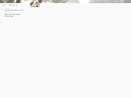 Other-Pages/Blog/Learning/Archive/IV/ComputerScience/ProgrammingLanguages/Java/Foreword/Books screenshot