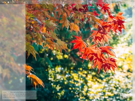 Other-Pages/Blog/Learning/Learning screenshot