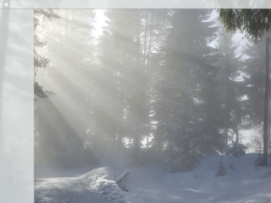Other-Pages/Blog/Reading/Reading screenshot