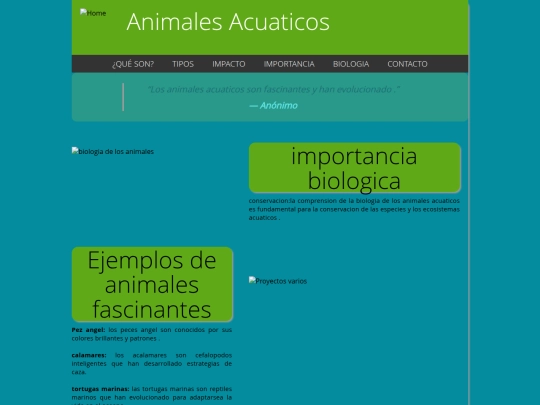 proyectos screenshot