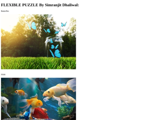 Flexible-Box-Layout screenshot