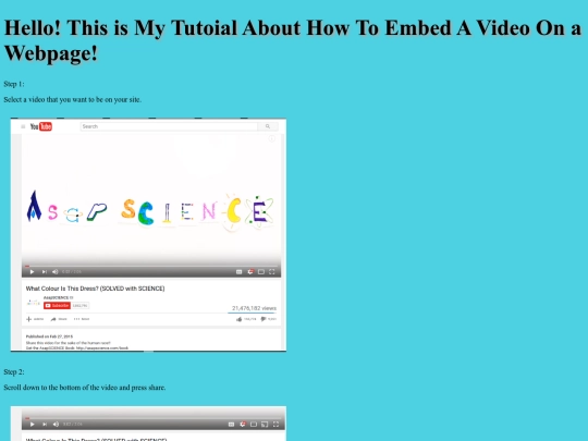 VideoEmbeddingTutorial screenshot