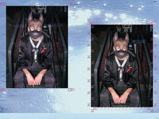 fragments/241027pup screenshot