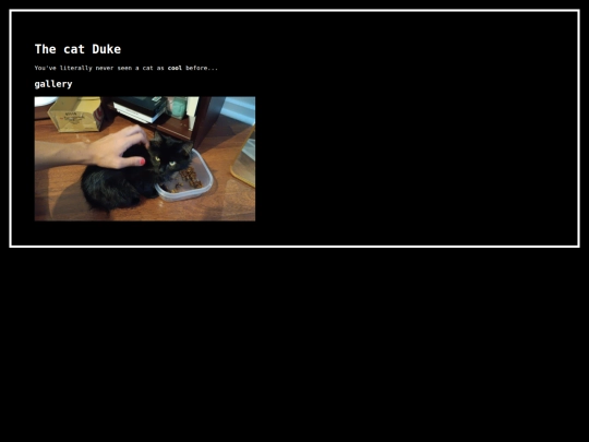 duke screenshot