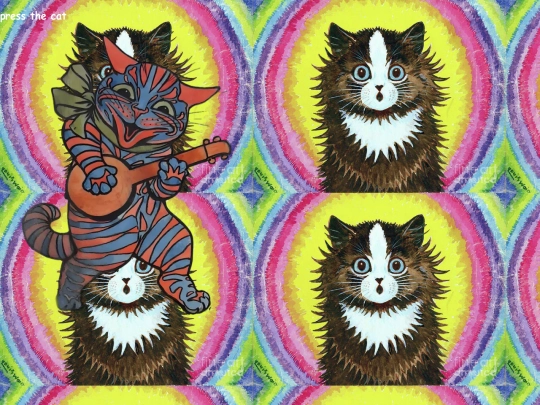 pressthecat screenshot