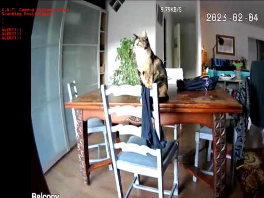 catcam screenshot