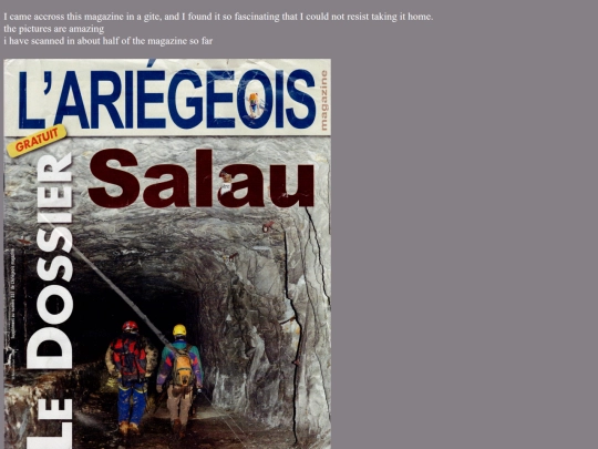 salau screenshot