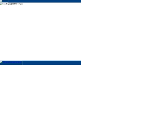 offline/netguide/web01 screenshot