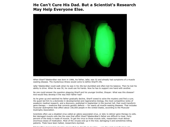 6 screenshot