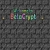 Enter the Crypt avatar