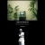 I AM THE WALKING GHOST avatar