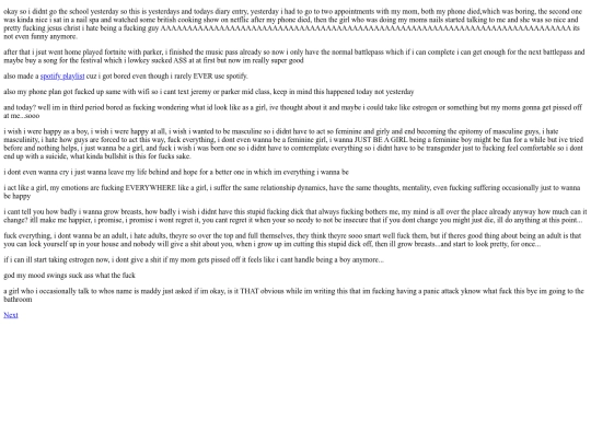 diary entries/January_17_2025 screenshot