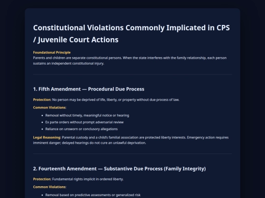 constitutional_issues_brief screenshot