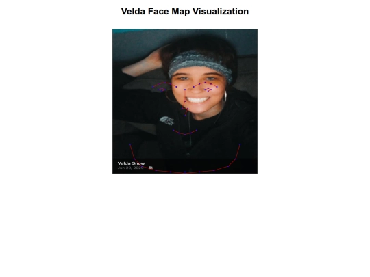 face_map_velda screenshot