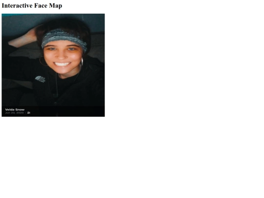 face_mapper screenshot