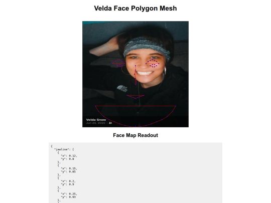 polygon_mesh screenshot