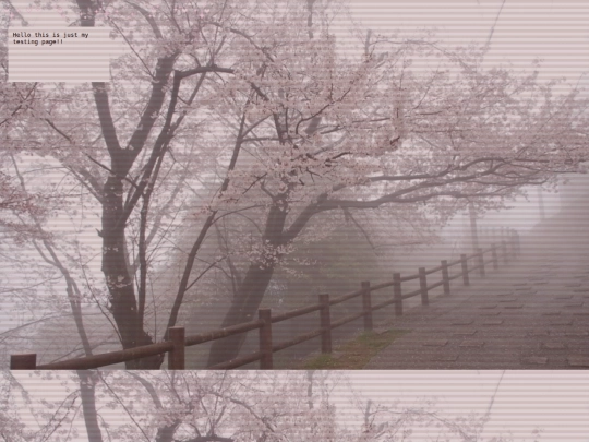 testytester screenshot