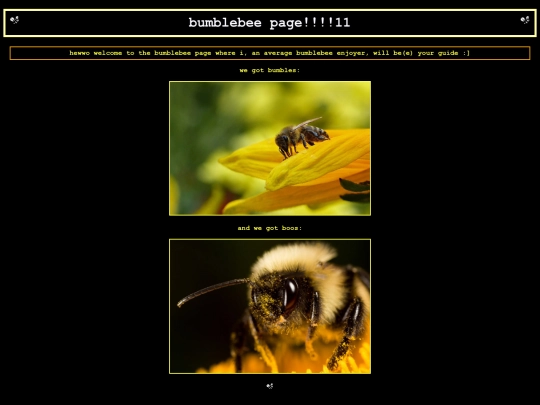 getbeesidiot screenshot