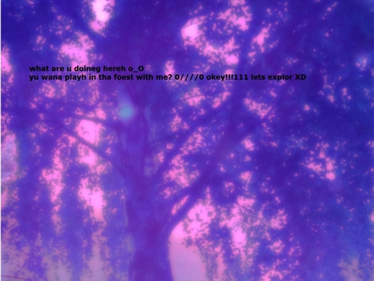 bigawebsite screenshot