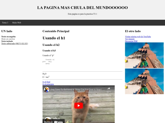 t3y1 screenshot