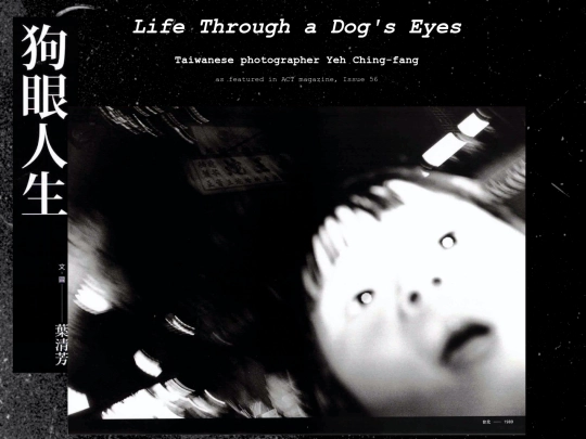 eyesofadog screenshot