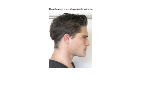 Chad Comparison 1 screenshot