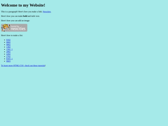index screenshot