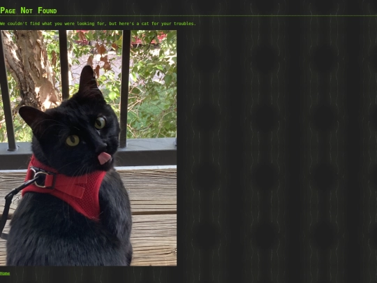 not_found screenshot