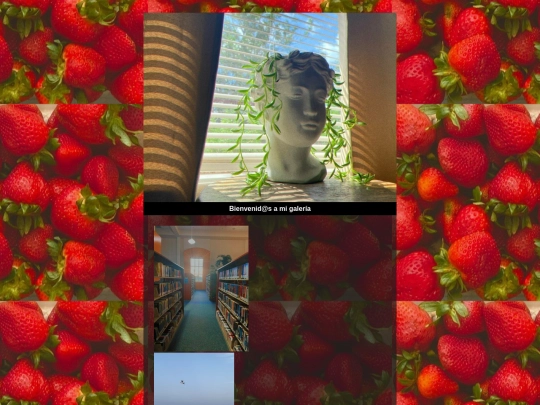 galeria screenshot