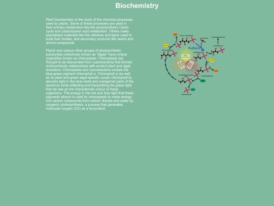 Biochemistry screenshot