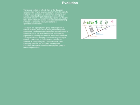 evolution screenshot