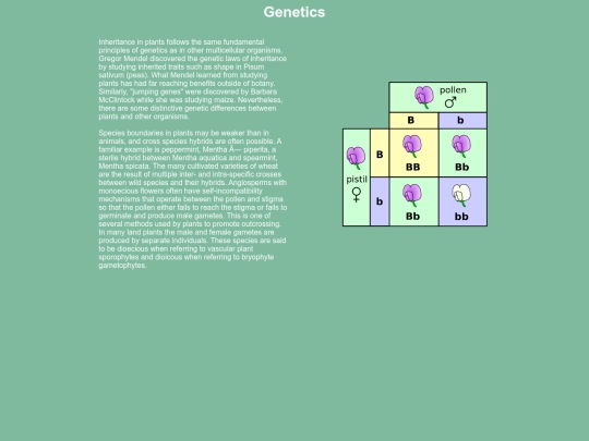 genetics screenshot