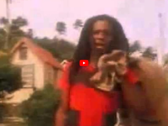 coletaneas/novelas/sol-de-verao-000 screenshot