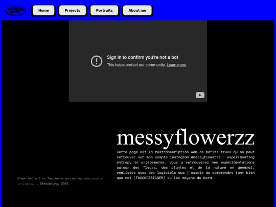 messyflowerzz screenshot