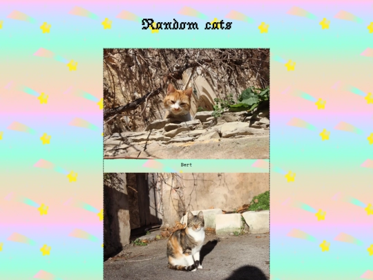randomcats screenshot
