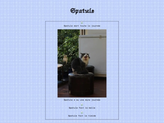 spatule screenshot