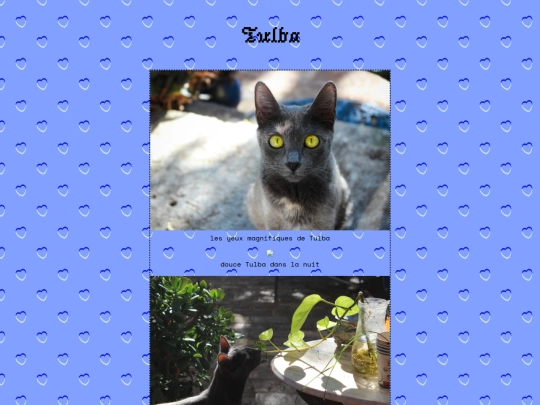 tulba screenshot