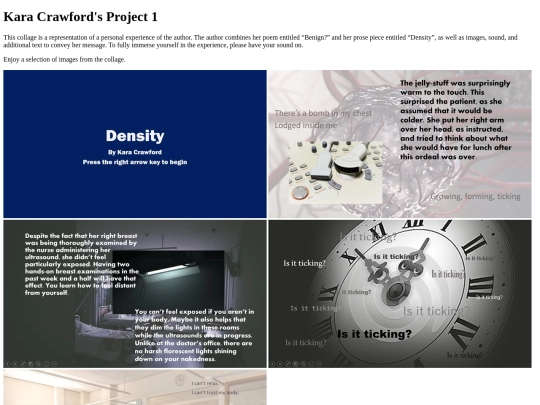 project1 screenshot