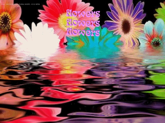 flowers screenshot