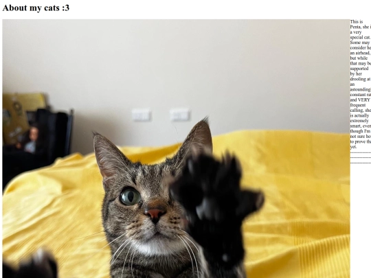 pages/about_me/aboutCats screenshot