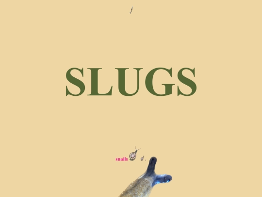 slugs screenshot