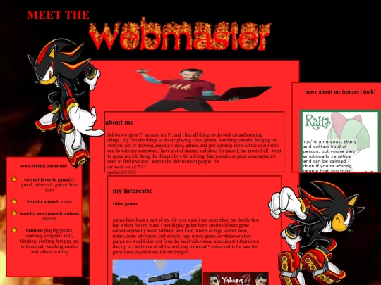 main_site/webmaster/webm screenshot