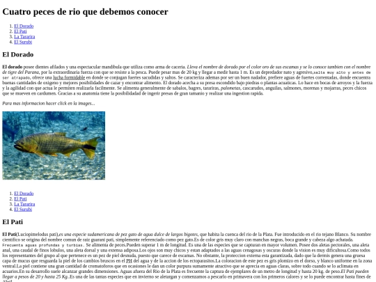 TP2 screenshot