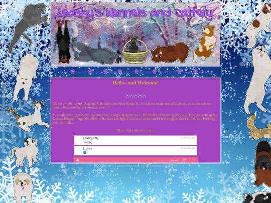 leashysite screenshot