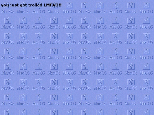 opened screenshot