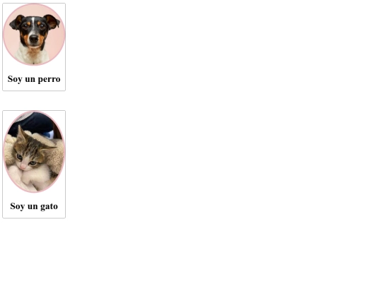 Actividad_3/soy_un_perro screenshot