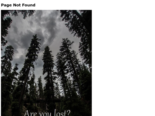 not_found screenshot